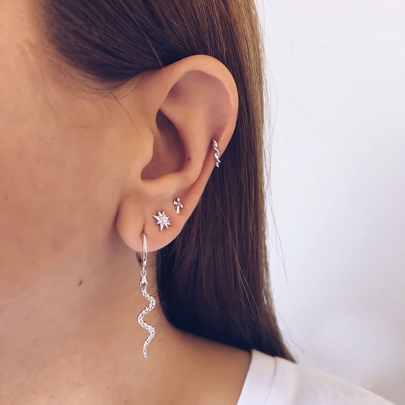 Hanging on sale snake earrings