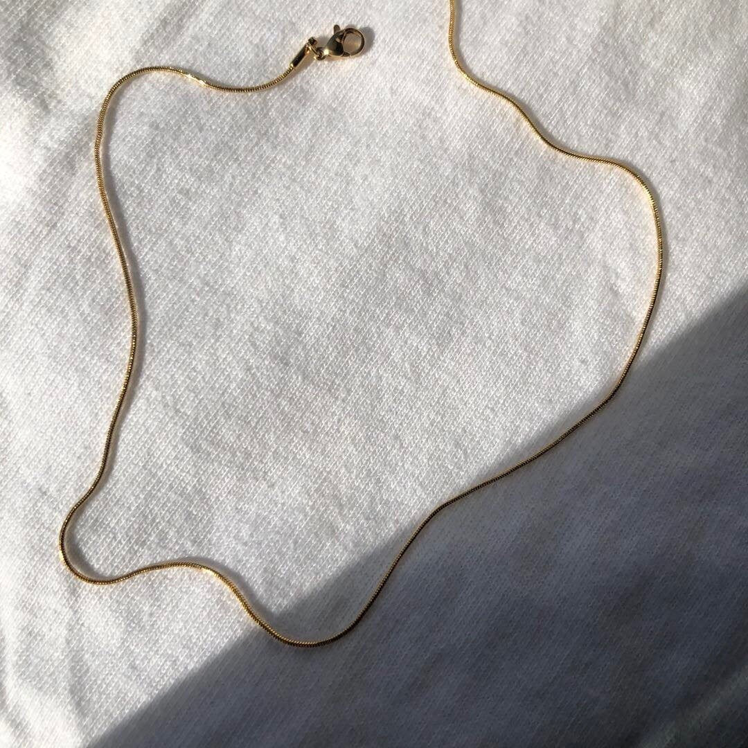 Sun shining on a deliacte gold snake chain necklace.