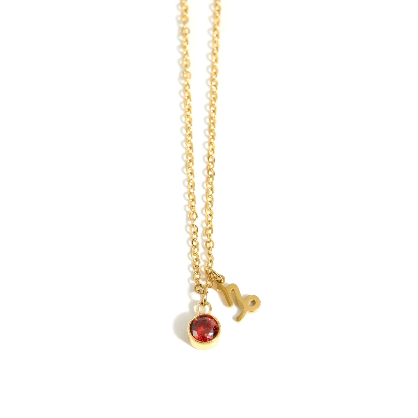 Capricorn Zodiac Sign Birthstone Gold Necklace.